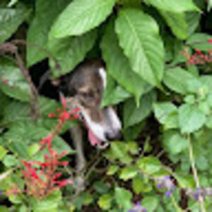 Meet your Posher, Violeta